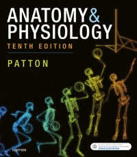 Cover image: Anatomy & Physiology 10th edition 9780323528795