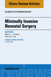 Cover image: Minimally Invasive Neonatal Surgery, An Issue of Clinics in Perinatology 9780323552929