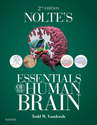 Titelbild: Nolte's Essentials of the Human Brain 2nd edition 9780323529310