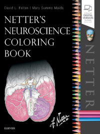 表紙画像: Netter's Neuroscience Coloring Book 9780323509596