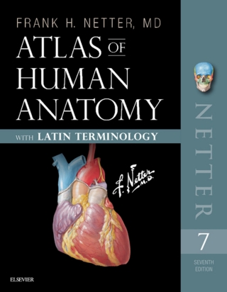Cover image: Atlas of Human Anatomy: Latin Terminology 7th edition 9780323596770