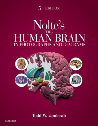 صورة الغلاف: Nolte's The Human Brain in Photographs and Diagrams 5th edition 9780323598163