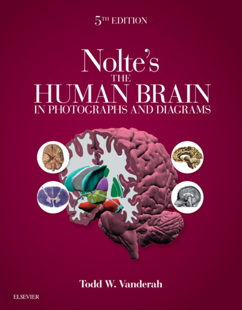 Nolte's The Human Brain in Photographs and Diagrams, 5th Edition - FULL INSTANT DOWNLOAD | PDF DOCX EPUB