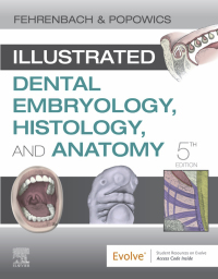 Imagen de portada: Illustrated Dental Embryology, Histology, and Anatomy 5th edition 9780323611077