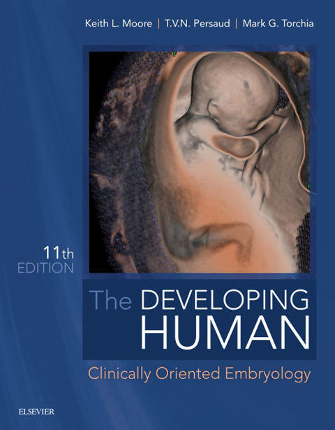 The Developing Human: Clinically Oriented Embryology, 11th Edition - FULL INSTANT DOWNLOAD | PDF DOCX EPUB