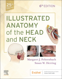 Titelbild: Illustrated Anatomy of the Head and Neck 6th edition 9780323613019
