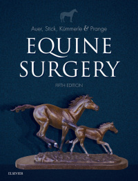 Cover image: Equine Surgery 5th edition 9780323484206