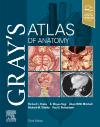 Cover image: Gray's Atlas of Anatomy 3rd edition 9780323636391