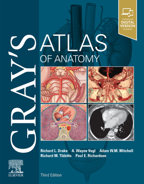 Gray's Atlas of Anatomy, 3rd Edition - FULL INSTANT DOWNLOAD | PDF DOCX EPUB