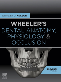 Titelbild: Wheeler's Dental Anatomy, Physiology and Occlusion 11th edition 9780323638784