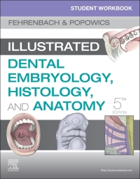 Cover image: Student Workbook for Illustrated Dental Embryology, Histology and Anatomy 5th edition 9780323639903