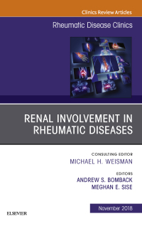 Omslagafbeelding: Renal Involvement in Rheumatic Diseases , An Issue of Rheumatic Disease Clinics of North America 9780323641739