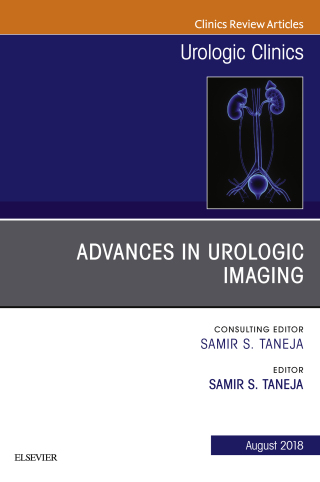 Cover image: Advances in Urologic Imaging, An Issue of Urologic Clinics 9780323641654