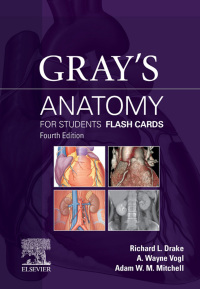 Cover image: Gray's Anatomy for Students Flash Cards 4th edition 9780323639170