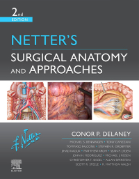Cover image: Netter's Surgical Anatomy and Approaches 2nd edition 9780323673464