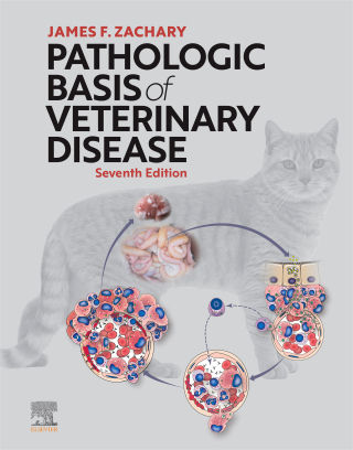 Cover image: Pathologic Basis of Veterinary Disease 7th edition 9780323713139