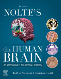 Cover image: Nolte’s The Human Brain 8th edition 9780323653985
