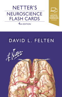 Cover image: Netter's Neuroscience Flash Cards 4th edition 9780323756433