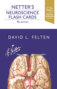 表紙画像: Netter's Neuroscience Flash Cards 4th edition 9780323756433