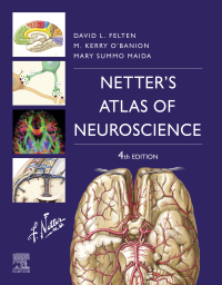 Immagine di copertina: Netter's Atlas of Neuroscience 4th edition 9780323756549