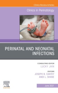 Titelbild: Perinatal and Neonatal Infections, An Issue of Clinics in Perinatology 9780323757058