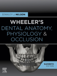 Imagen de portada: Wheeler's Dental Anatomy, Physiology and Occlusion 11th edition 9780323638784