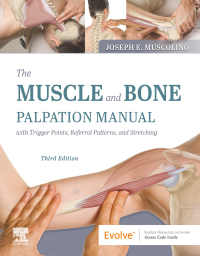 Omslagafbeelding: The Muscle and Bone Palpation Manual with Trigger Points, Referral Patterns and Stretching 3rd edition 9780323761369