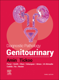 Imagen de portada: Diagnostic Pathology: Genitourinary 3rd edition 9780323763325