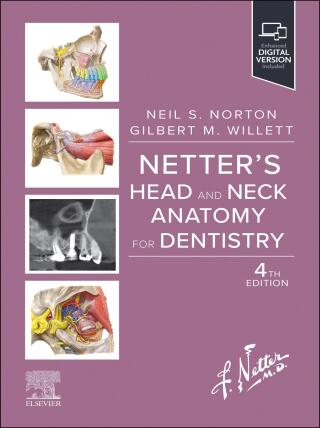 Imagen de portada: Netter's Head and Neck Anatomy for Dentistry 4th edition 9780323791441