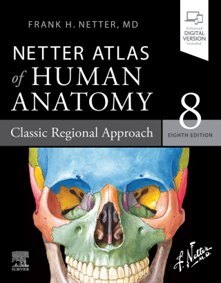 Imagen de portada: Netter Atlas of Human Anatomy: Classic Regional Approach 8th edition 9780323680424