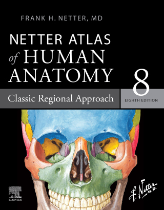 Cover image: Netter Atlas of Human Anatomy: Classic Regional Approach 8th edition 9780323793735