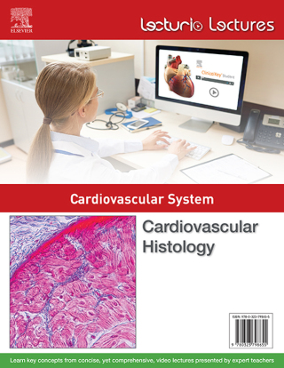Immagine di copertina: Lecturio Lectures - Cardiovascular System: Cardiovascular Histology 1st edition 9780323798655