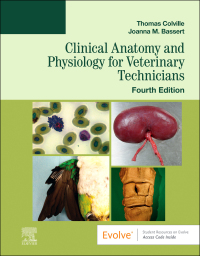 Omslagafbeelding: Clinical Anatomy and Physiology for Veterinary Technicians 4th edition 9780323793414