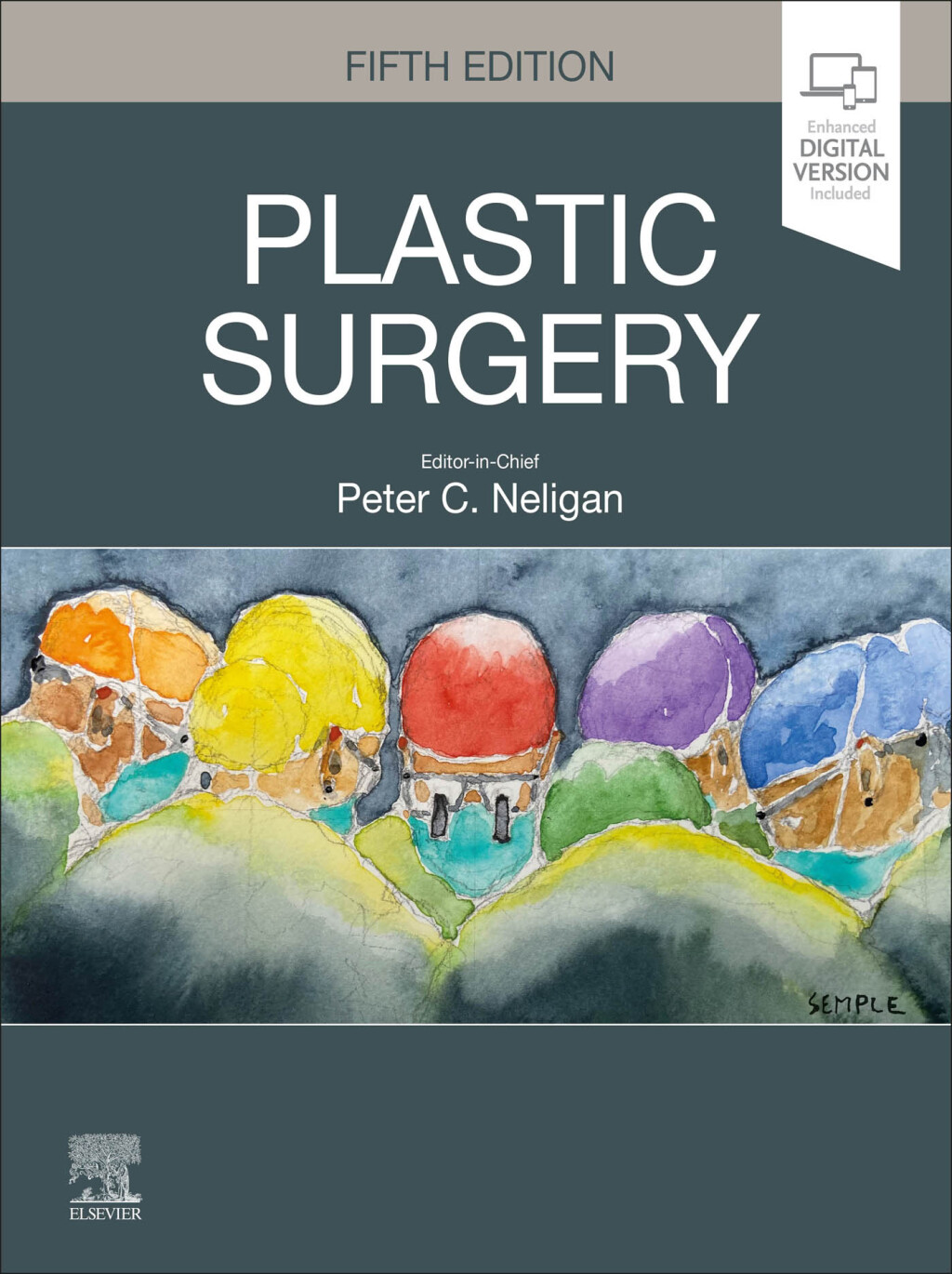 Plastic Surgery: 6-Volume Set 5th Edition