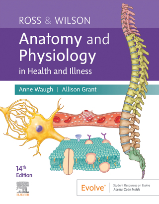 Imagen de portada: Ross & Wilson Anatomy and Physiology in Health and Illness 14th edition 9780323834605