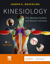 Cover image: Kinesiology - E-Book 4th edition 9780323812764
