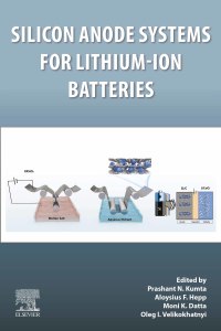 Imagen de portada: Silicon Anode Systems for Lithium-Ion Batteries 9780128196601