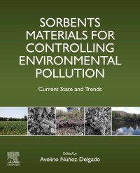 Imagen de portada: Sorbents Materials for Controlling Environmental Pollution 9780128200421