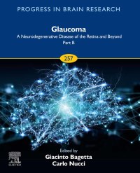 Cover image: Glaucoma: A Neurodegenerative Disease of the Retina and Beyond Part B 1st edition 9780323853415