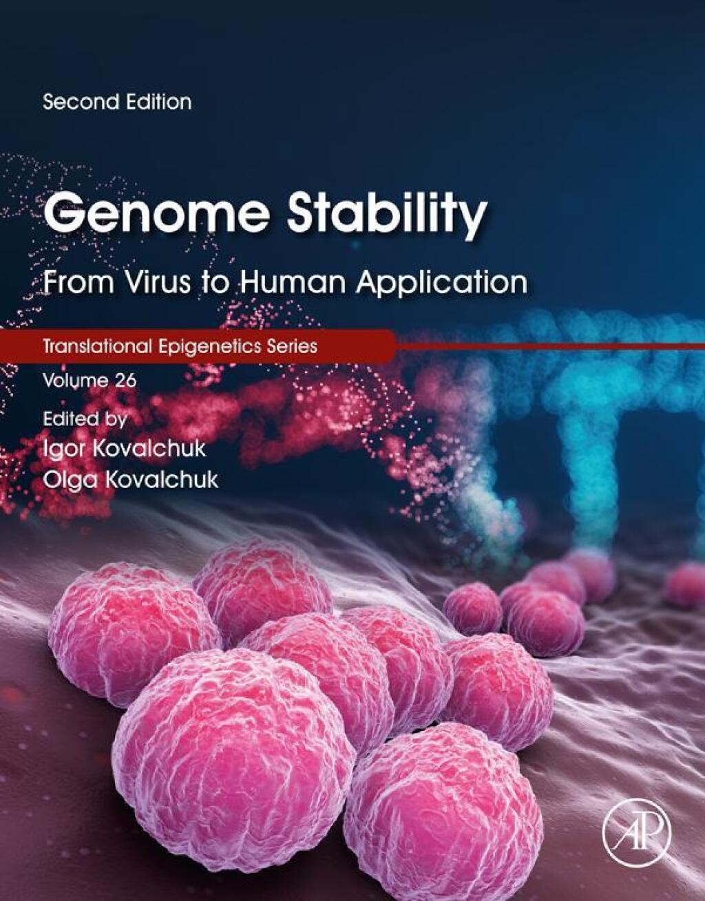 Genome Stability From Virus to Human Application 2nd Edition