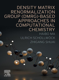 Cover image: Density Matrix Renormalization Group (DMRG)-based Approaches in Computational Chemistry 9780323856942