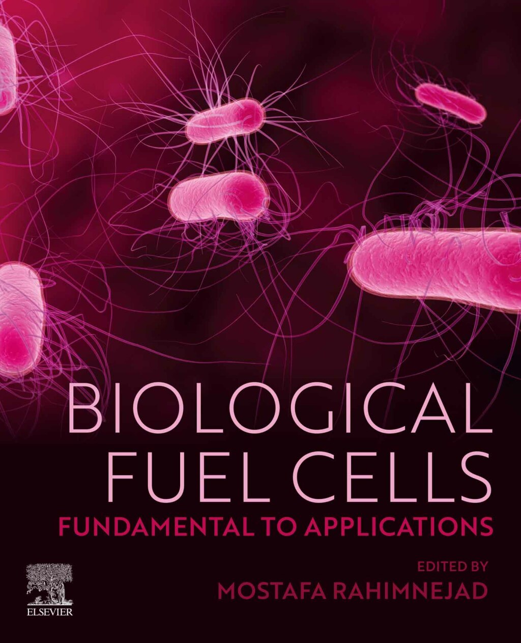 Biological Fuel Cells Fundamental to Applications 1st Edition