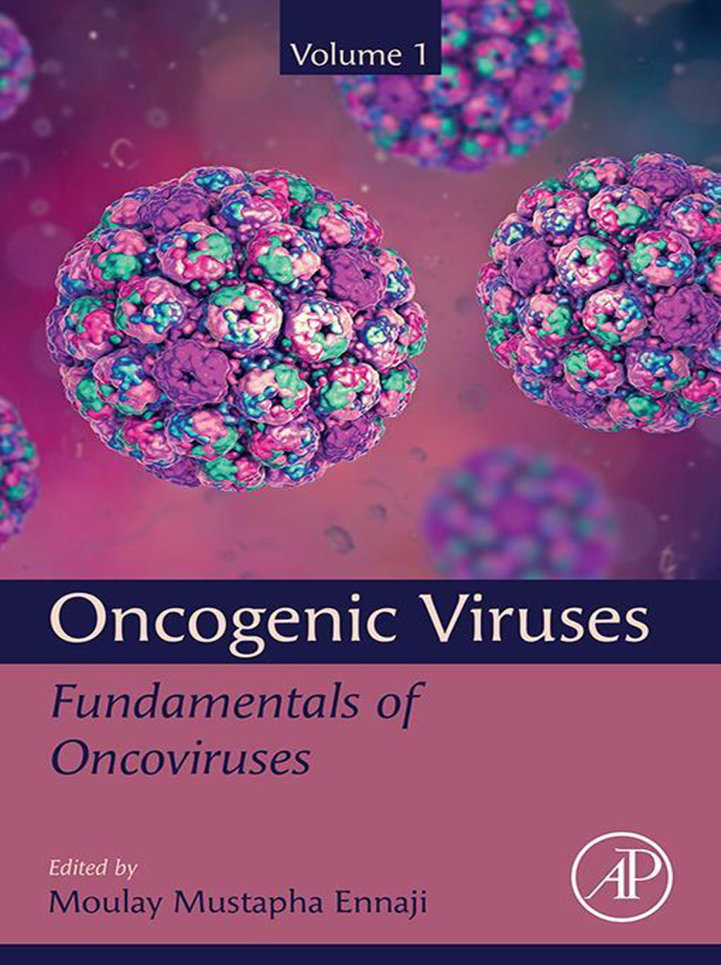 Oncogenic Viruses Volume 1 Fundamentals of Oncoviruses 1st Edition