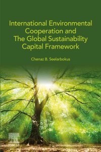 Omslagafbeelding: International Environmental Cooperation and The Global Sustainability Capital Framework 9780128245194