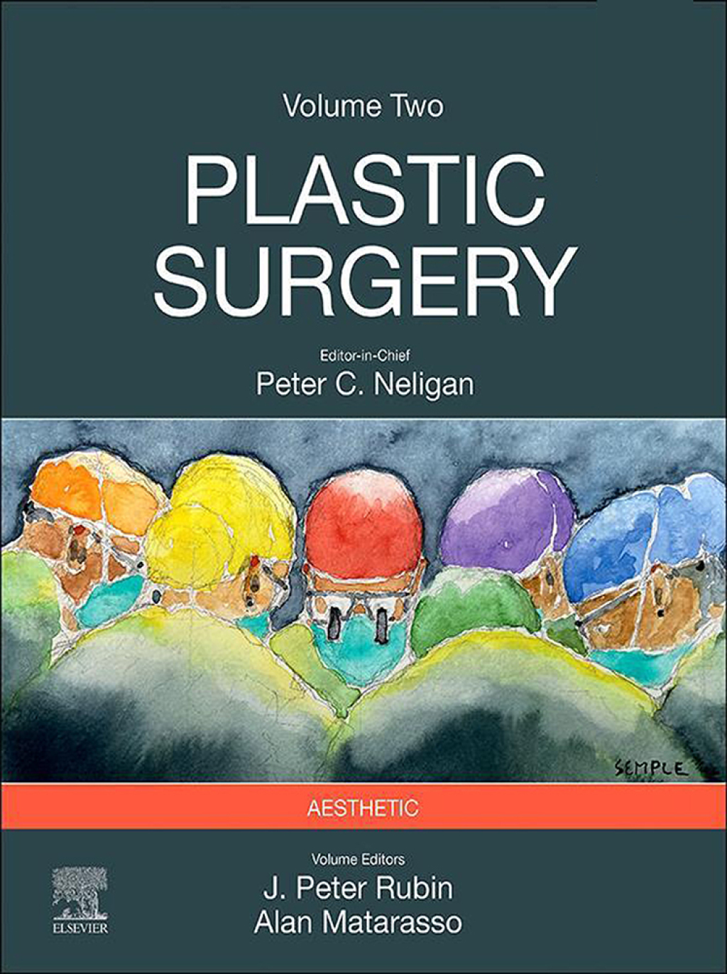 Plastic Surgery Volume 2: Aesthetic Surgery 5th Edition
    Newer Edition Available
