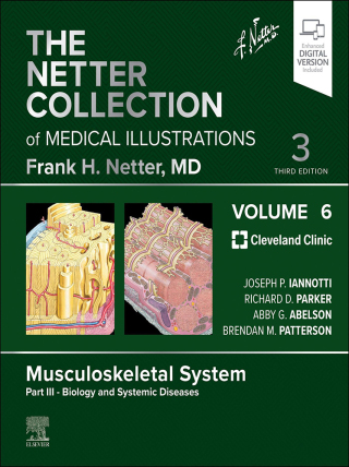 表紙画像: The Netter Collection of Medical Illustrations: Musculoskeletal System, Volume 6, Part III - Biology and Systemic Diseases 3rd edition 9780323880879