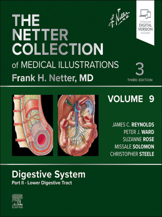 Cover image: The Netter Collection of Medical Illustrations: Digestive System, Volume 9, Part II – Lower Digestive Tract 3rd edition 9780323881319
