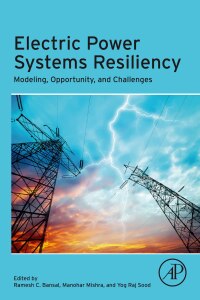 صورة الغلاف: Electric Power Systems Resiliency 9780323855365