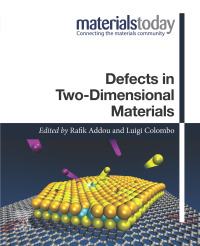 Imagen de portada: Defects in Two-Dimensional Materials 9780128202920