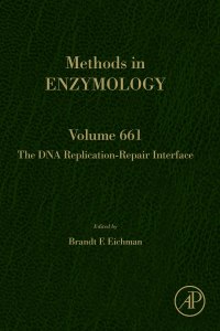 Cover image: The DNA Replication-Repair Interface 9780323907330